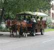 unterwegs mit der Jubiläumskutsche