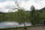 der Bergsee bei Säckingen